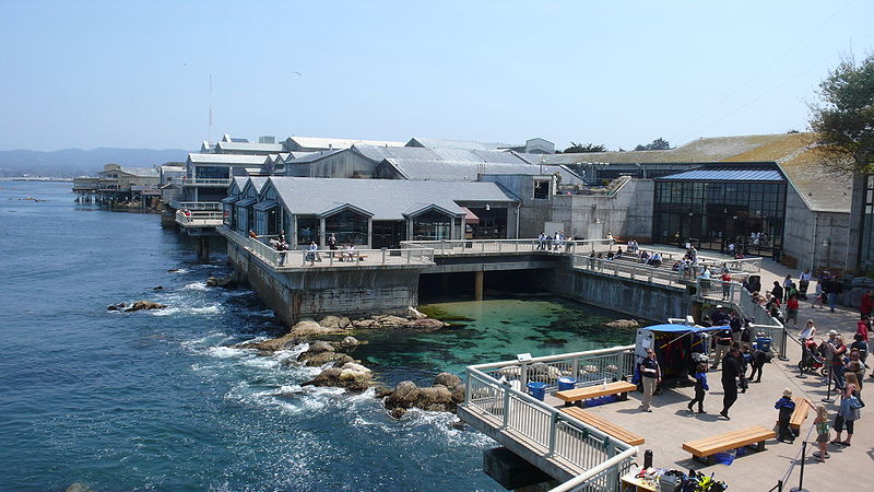 800px-MontereyBayAquariumBackview